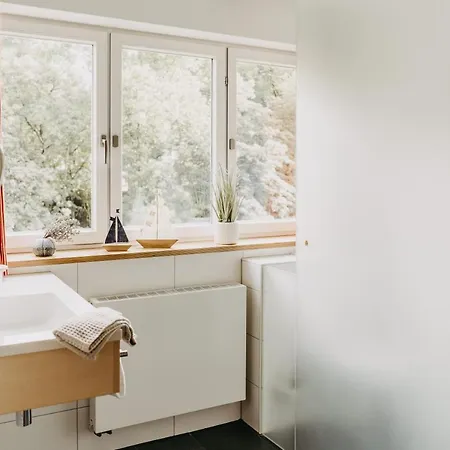 Maiers Johanniterbad Ringhotel 4* 罗特威尔