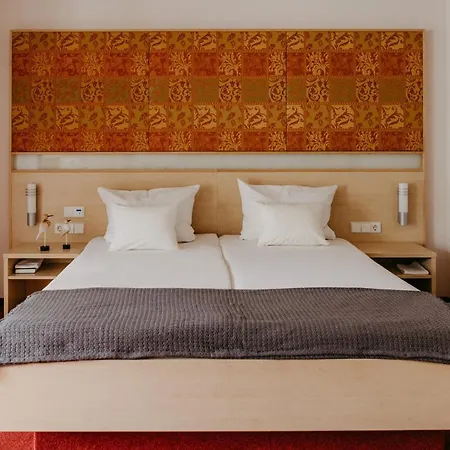 Maiers Johanniterbad Ringhotel 酒店 4*