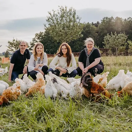 Maiers Johanniterbad Ringhotel 酒店 4*