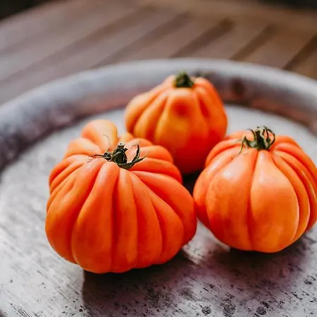 Maiers Johanniterbad Ringhotel 4*