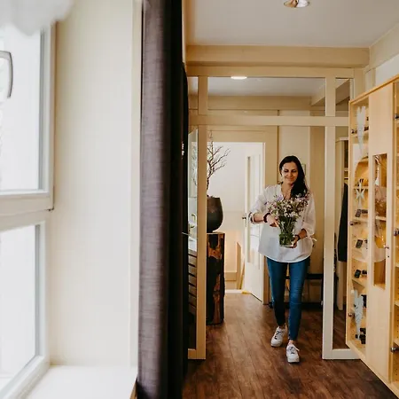 Maiers Johanniterbad Ringhotel 酒店 4*