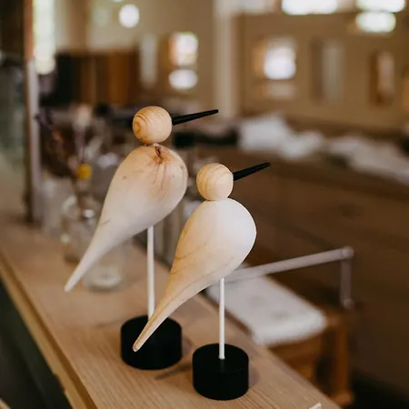 Maiers Johanniterbad Ringhotel 4* Rottweil