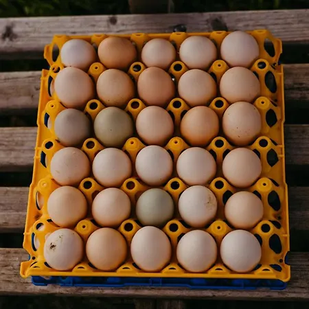 Maiers Johanniterbad Ringhotel Hotel