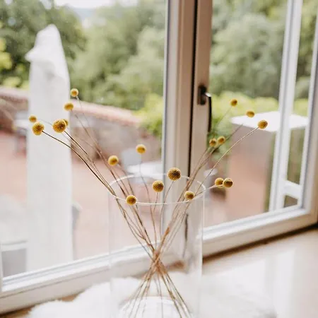 Maiers Johanniterbad Ringhotel