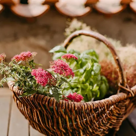 Hotel Maiers Johanniterbad Ringhotel