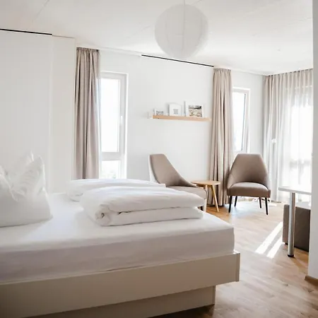 酒店 Maiers Johanniterbad Ringhotel 罗特威尔