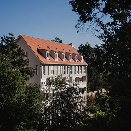 Maiers Johanniterbad Ringhotel 4* Rottweil