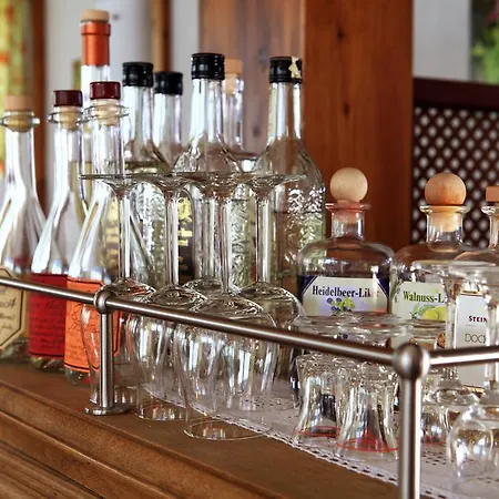 酒店 Maiers Johanniterbad Ringhotel 罗特威尔