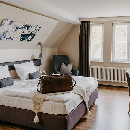 Maiers Johanniterbad Ringhotel 酒店