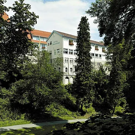 Maiers Johanniterbad Ringhotel Hotel