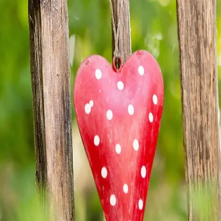 酒店 Maiers Johanniterbad Ringhotel