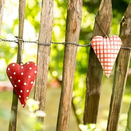 Maiers Johanniterbad Ringhotel 酒店 4*