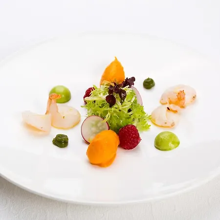 Maiers Johanniterbad Ringhotel 酒店 4*