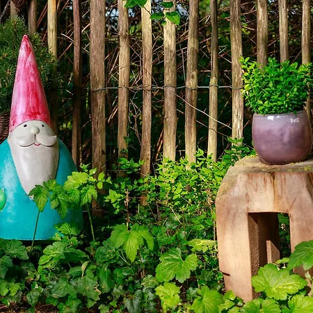 酒店 Maiers Johanniterbad Ringhotel