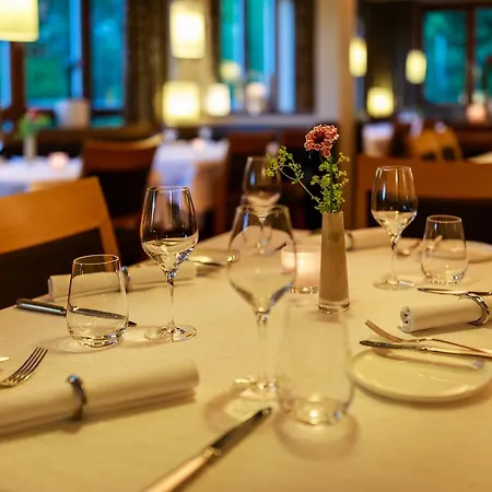 Maiers Johanniterbad Ringhotel 酒店 4*