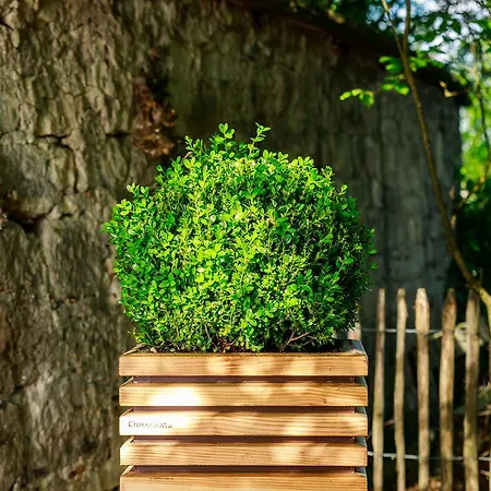 Maiers Johanniterbad Ringhotel 罗特威尔