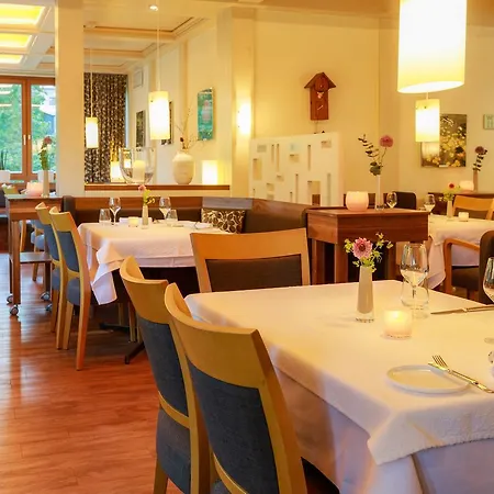 Maiers Johanniterbad Ringhotel 酒店 4*